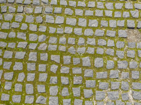 Fragment eines Fußweges gepflastert mit kleinen grauen rechteckigen Schutthaufen graue Steinplatten mit Moos in den Abständen dazwischen, Draufsicht