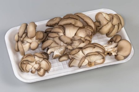 Several small clusters of the freshly harvested cultivated raw oyster mushrooms on a white foam food tray on a gray background