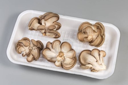Several small clusters of the freshly harvested cultivated raw oyster mushrooms on a white foam food tray on a gray background