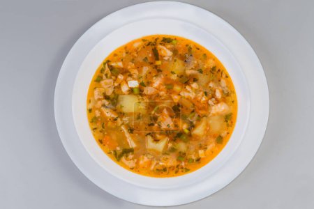 Photo for Portion of clear salmon soup in a white bowl on a plate on a gray background, top view - Royalty Free Image