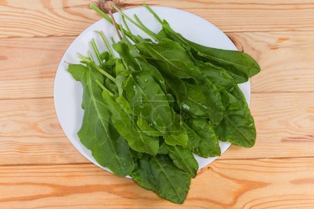 Freshly picked leaves of the garden sorrel on a white dish on a rustic table