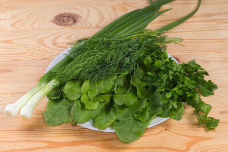 Téléchargez les photos : Freshly picked leaves of the garden sorrel, stems of green onion, and bunches of parsley and dill on a white dish on a rustic table - en image libre de droit