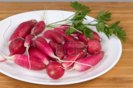 Fresh red radish with roots and parsley twig on the white dish on a wooden surface, side view close-up in selective focus