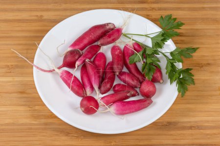 Fresh red radish with roots and parsley twig on the white dish on a wooden surface