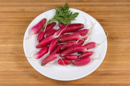 Fresh red radish of oblong shape with roots and parsley twig on the white dish on a wooden surface