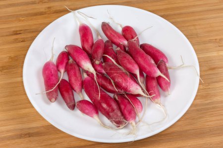 Fresh red radish of oblong shape with roots on the white dish on a wooden surface