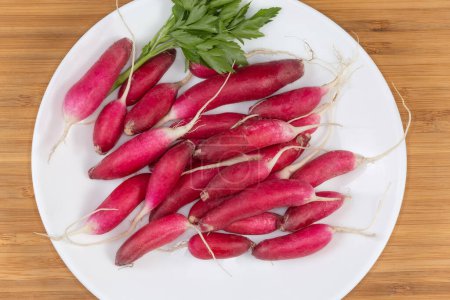 Fresh red radish of oblong shape with roots and parsley twig on the white dish on a wooden surface, top view close-up