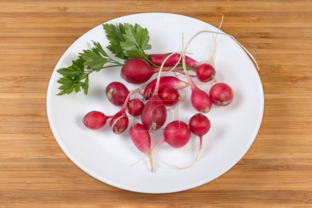 Fresh red radish of round shape with roots and parsley twig on the white dish on a wooden surface