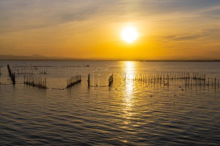 Photo for The lake with fish nets and sunny path against the backdrop of an orange sunset - Royalty Free Image