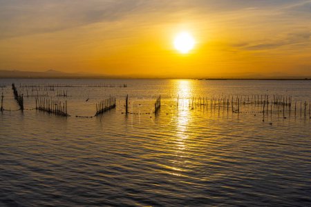 Photo for The lake with fish nets and sunny path against the backdrop of an orange sunset - Royalty Free Image