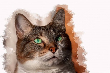 An illustration of muzzle of a beautiful adult young tabby cat with green eyes and brown velvet wet nose is on a white background