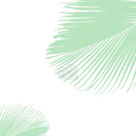Ilustración de Un vector verde ilustración de una gran hoja de palma de Cocos nucifera sobre el fondo blanco - Imagen libre de derechos