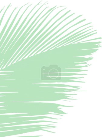 Ilustración de Una ilustración vectorial verde de una gran hoja de palma de Cocos nucifera sobre el fondo blanco. Vertical - Imagen libre de derechos