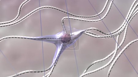Fibroblastos, colágeno y fibras de elastina. Ilustración científica en 3D