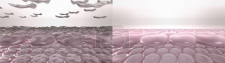 Hauttrockene abgestorbene Zellen Peeling-Prozess. 3D-Rendering stilisierter Hautschichten vor und nach chemischem Peeling, Laser-Wiederbelichtung, Mikrodermabrasion oder Wirkung von Peeling-Kosmetikprodukten