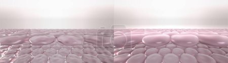 Young and aged wrinkled skin cells. 3D render of stylized skin layers before and after volumizing beauty treatment, hyaluronic acid or botulinum toxin injection, laser collagen induction therapy, dermal filler, moisturizing cream action