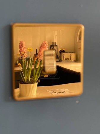 Téléchargez les photos : Flower pot and modern kitchen reflecting in golden lights switch - en image libre de droit