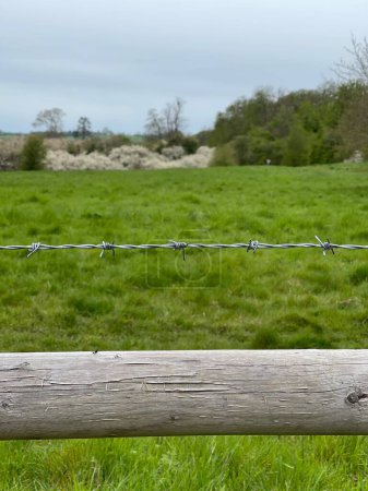 Photo for Cropped shot of a barbed wire above wooden fence - Royalty Free Image