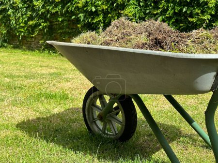 Foto de Recortado tiro de una carretilla de jardín lleno de hierba - Imagen libre de derechos