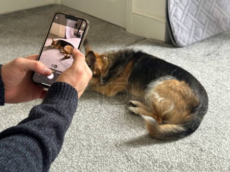 Selective focus on a smartphone unrecognizable man taking photo of a dog at home