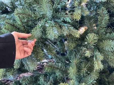 Photo for Cropped shot of unrecognizable customer touching christmas tree branches at garden center store - Royalty Free Image