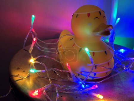 Photo for Rubber duck on top of neon christmas garland lights - Royalty Free Image
