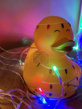 Photo for Vertical closeup of a christmas garland lights wrapped around a rubber duck - Royalty Free Image