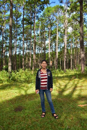 Téléchargez les photos : Souriant asiatique femme posant dans pinède forêt - en image libre de droit
