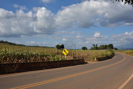 Téléchargez les photos : Route asphaltée le long du champ de maïs dans la campagne - en image libre de droit