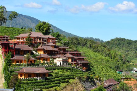 Téléchargez les photos : Lee Wine Ruk Thai Resort à Ban Rak Thai. Maisons de style chinois entourées de plantations de thé. - en image libre de droit