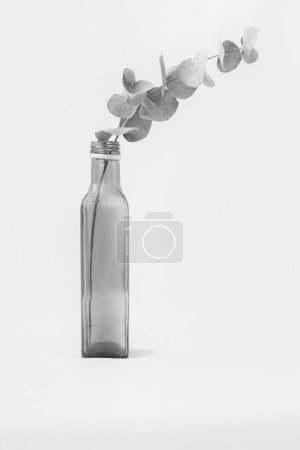 bouteille en verre avec feuilles, isolée sur fond blanc. photographie tournée vers le blanc et le noir high key