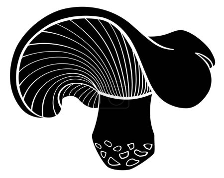 Illustration for Lactarius Resimus, forest edible mushroom is a vector silhouette picture for a sign or logo. Mushroom with a bizarre hat icon or icon - Royalty Free Image