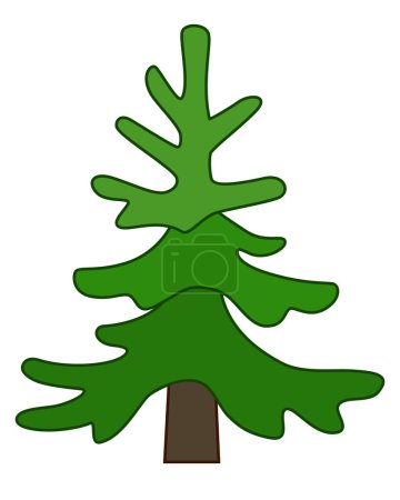 Foto de Abeto pequeño, árbol siempreverde de coníferas - vector de imagen a todo color. Árbol de Navidad, imagen estilizada de una planta. - Imagen libre de derechos