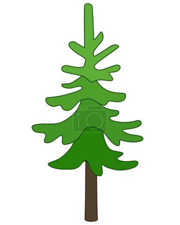 Spruce, coniferous evergreen tree - vector full-color image. Christmas tree, stylized image of a plant.