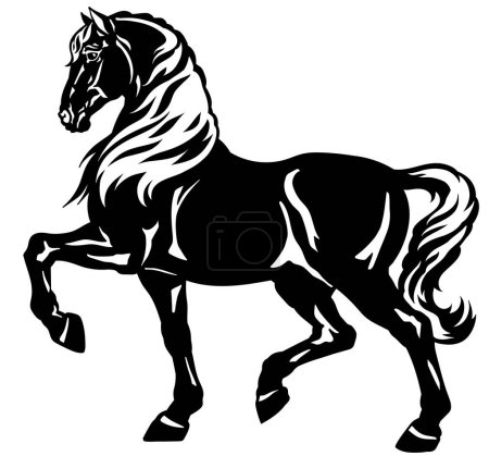 Illustration for Walking horse. Black heavy draft stallion in the profile. Silhouette. Side view vector illustration - Royalty Free Image