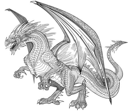 Ilustración de Un dragón europeo medieval de pie sobre sus patas traseras, enojado con las mandíbulas abiertas listo para atacar, cuerpo entero, vista lateral. Ilustración vectorial de estilo gráfico blanco y negro - Imagen libre de derechos