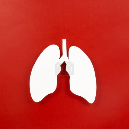 Foto de World TB day. Top view Lungs paper decorative symbol on red background, copy space, concept of world tuberculosis day, no tobacco, Medical and healthcare - Imagen libre de derechos