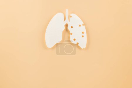 Téléchargez les photos : Lungs paper cutting symbol on pastel background, copy space, concept of world TB day, banner background design, respiratory diseases, lung cancer awareness, Healthcare, World tuberculosis day - en image libre de droit