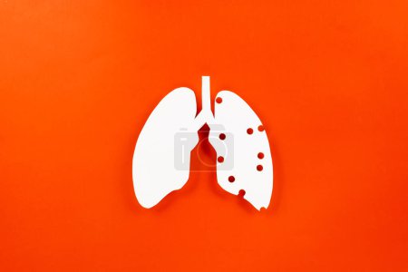 Téléchargez les photos : Lungs paper cutting symbol on red background, copy space, concept of world TB day, banner background design, respiratory diseases, lung cancer awareness, Healthcare, World tuberculosis day - en image libre de droit
