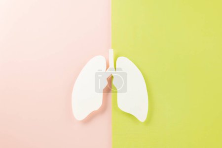 Photo for World tuberculosis day. Top view Lungs paper decorative symbol on pink and green background, copy space, concept of world TB day, no tobacco, Medical and healthcare, lung cancer awareness, 24 March - Royalty Free Image