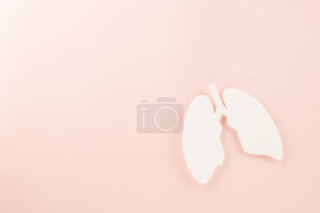 Foto de Día Mundial de la TB. Vista superior Papel Lungs símbolo decorativo sobre fondo rosa, espacio para copiar, concepto de día mundial de la tuberculosis, sin tabaco, Médico y sanitario - Imagen libre de derechos