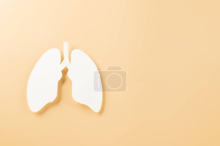 Foto de Día Mundial de la TB. Vista superior Papel Lungs símbolo decorativo sobre fondo pastel, espacio para copiar, concepto de día mundial de la tuberculosis, sin tabaco, Médico y sanitario - Imagen libre de derechos