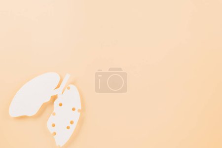 Foto de Día Mundial de la tuberculosis. Pulmones símbolo de corte de papel sobre fondo pastel, espacio para copiar, concepto de día mundial de la tuberculosis, fondo de la bandera, enfermedades respiratorias, conciencia de cáncer de pulmón, arte del papel, 24 de marzo - Imagen libre de derechos