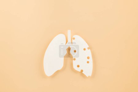 Photo for World TB day. Top view Lungs paper decorative symbol on pastel background, copy space, concept of world tuberculosis day, no tobacco, Medical and healthcare - Royalty Free Image