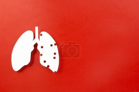 Téléchargez les photos : Journée mondiale de la tuberculose. Vue du dessus Symbole décoratif en papier poumon sur fond rouge, espace pour copier, concept de journée mondiale de la tuberculose, sans tabac, Médical et soins de santé, sensibilisation au cancer du poumon, 24 mars - en image libre de droit