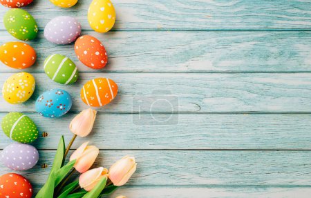 Easter Day Concept. Top view holiday banner background web design white colorful easter eggs painted with tulips flowers on blue wood background with empty copy space, celebration greeting card