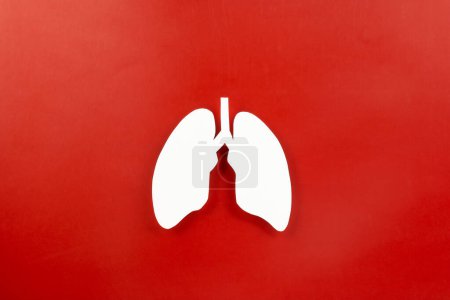 Foto de Día Mundial de la tuberculosis. Vista superior Símbolo decorativo de papel Lungs sobre fondo rojo, espacio para copiar, concepto del día mundial de la tuberculosis, no tabaco, Medicina y salud, conciencia sobre el cáncer de pulmón, 24 de marzo - Imagen libre de derechos