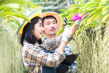 Photo for Young couple farmers checking their orchid gardening farm, woman and man check quality of orchid flower by magnifying glass together and take notes in garden greenhouse, Agricultural concepts - Royalty Free Image