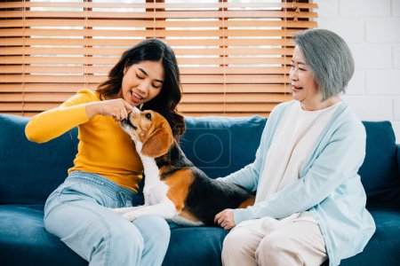 Foto de En una conmovedora escena familiar, una mujer y su madre cuidan a su perro Beagle en el sofá de su casa. Sus sonrisas revelan la felicidad y lealtad que definen sus relaciones familiares. - Imagen libre de derechos