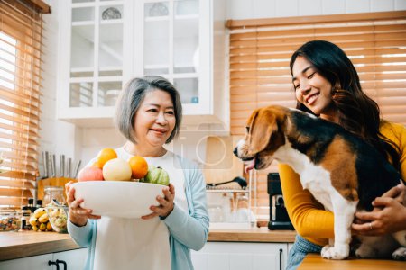 Téléchargez les photos : Dans la cuisine, une famille asiatique, dont la grand-mère et la fille, profite de moments ludiques avec leur chien Beagle. La joie, la convivialité et l'amitié propriétaire-animal de compagnie sont chaleureuses. - en image libre de droit